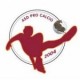 PRO CALCIO TERRACINA